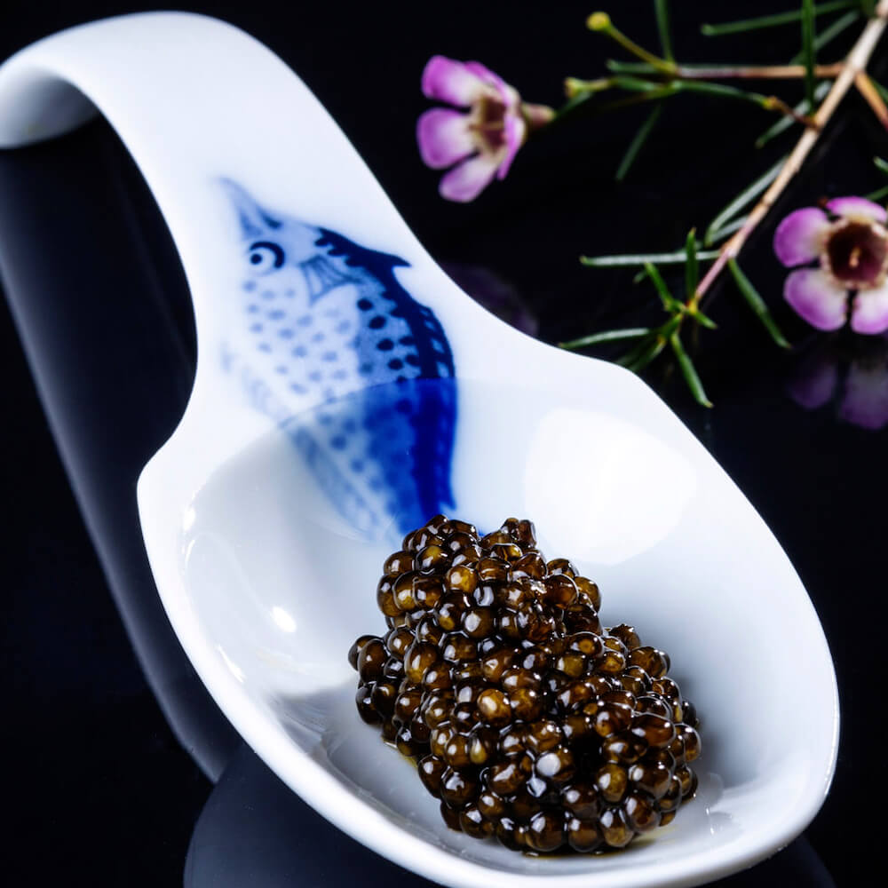 Osietra Caviar, 8+2x100g
