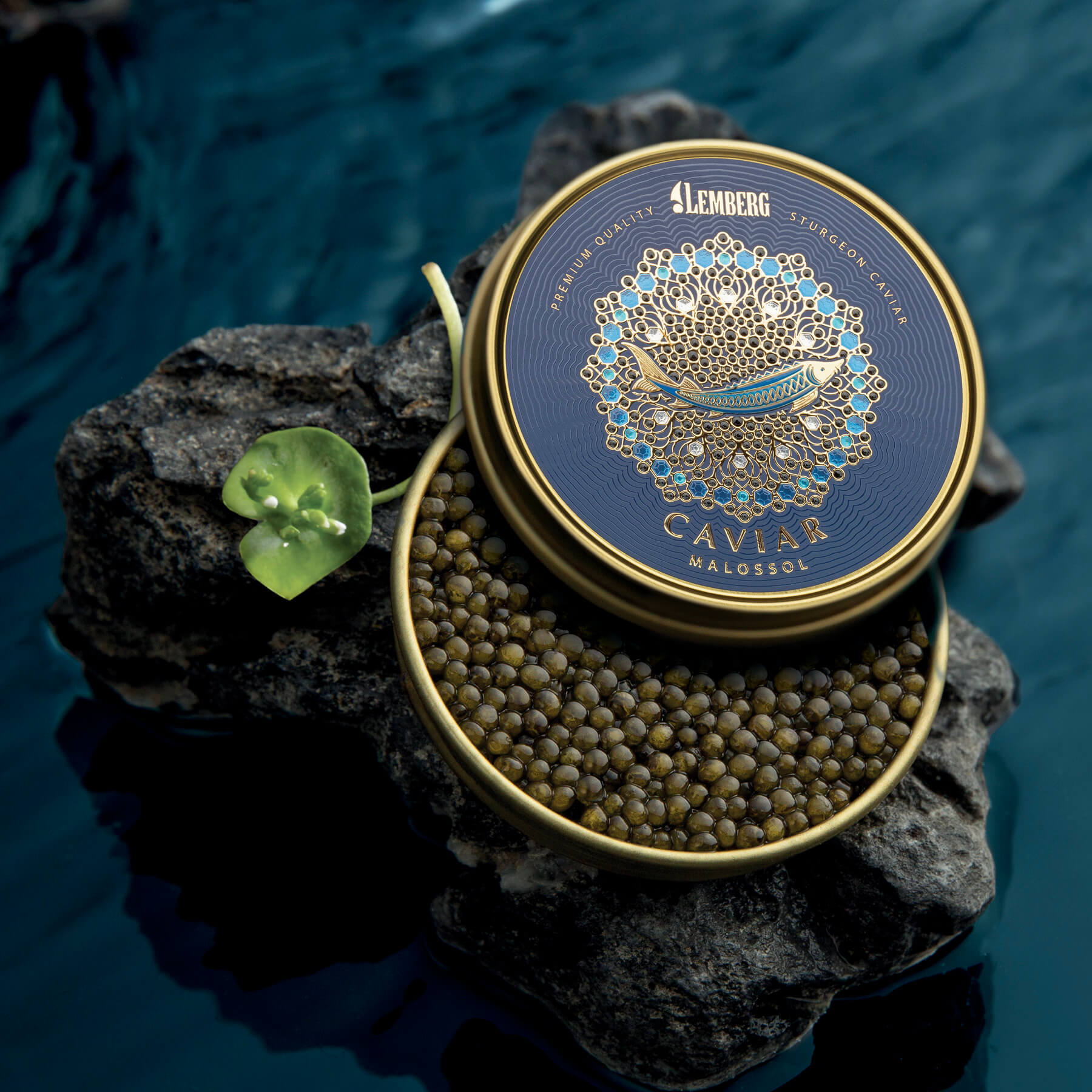 Jesetrov kaviar AMUR ROYAL, 500g