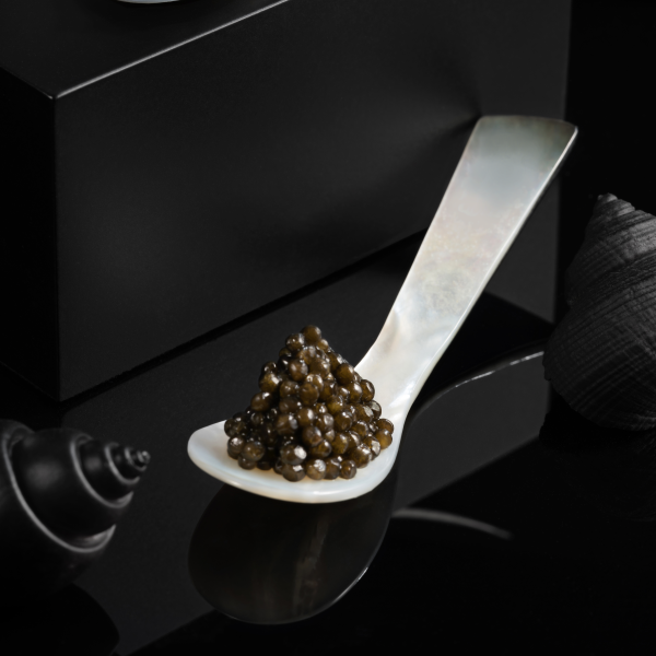 Osietra kaviar, 500g