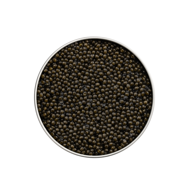 Osietra kaviar, 500g